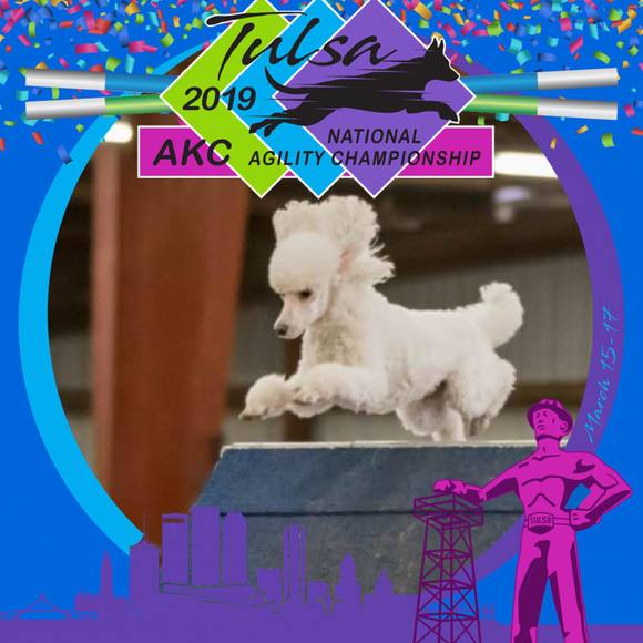 pattydrom
